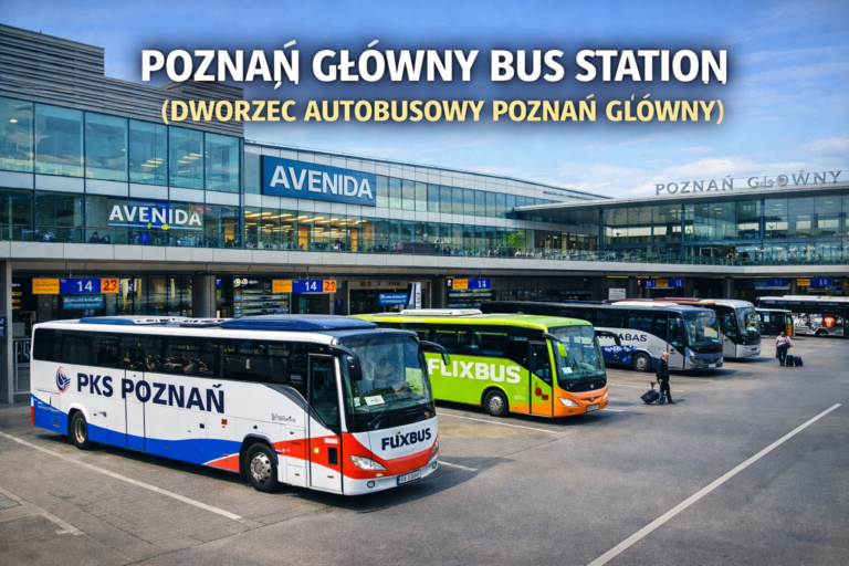 Poznań Główny Bus Station (Dworzec Autobusowy Poznań Główny): Passenger Guide